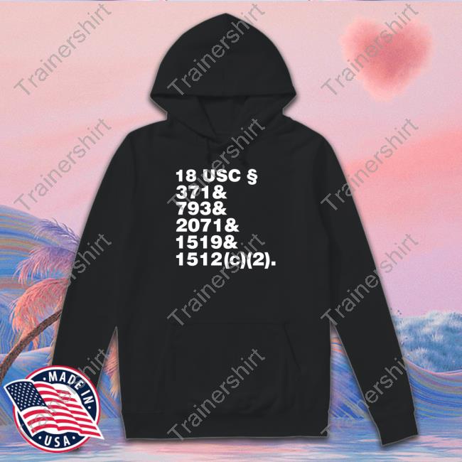 18 Usc 371& 793& 2071& 1519& 1512(C)(2) T Shirt